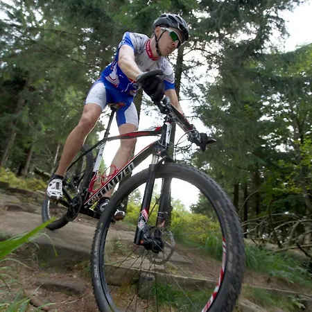 Landgasthof Hirsch 3* Loßburg