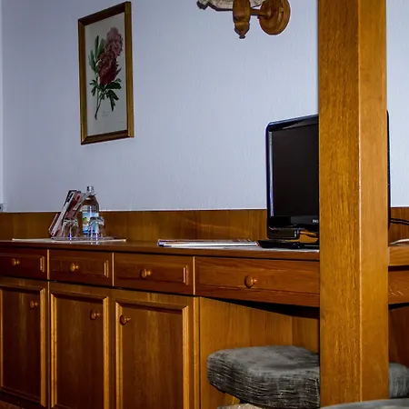 Hotel Landgasthof Hirsch 3*