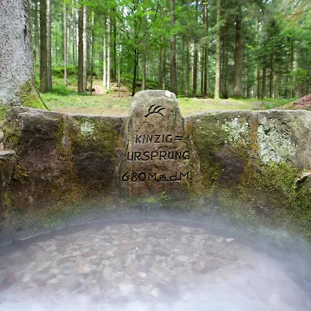 호텔 Landgasthof Hirsch
